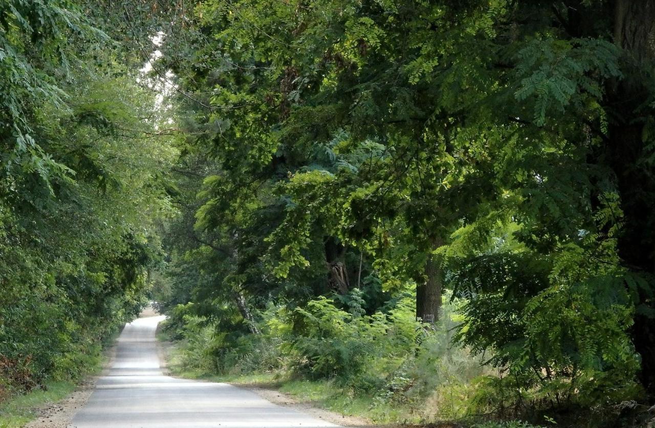 Godzisz - Domek Rekreacyjny Sobolew Exterior foto